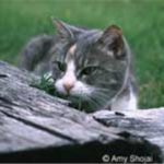 imageResize (91)