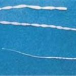 Flea tapeworm